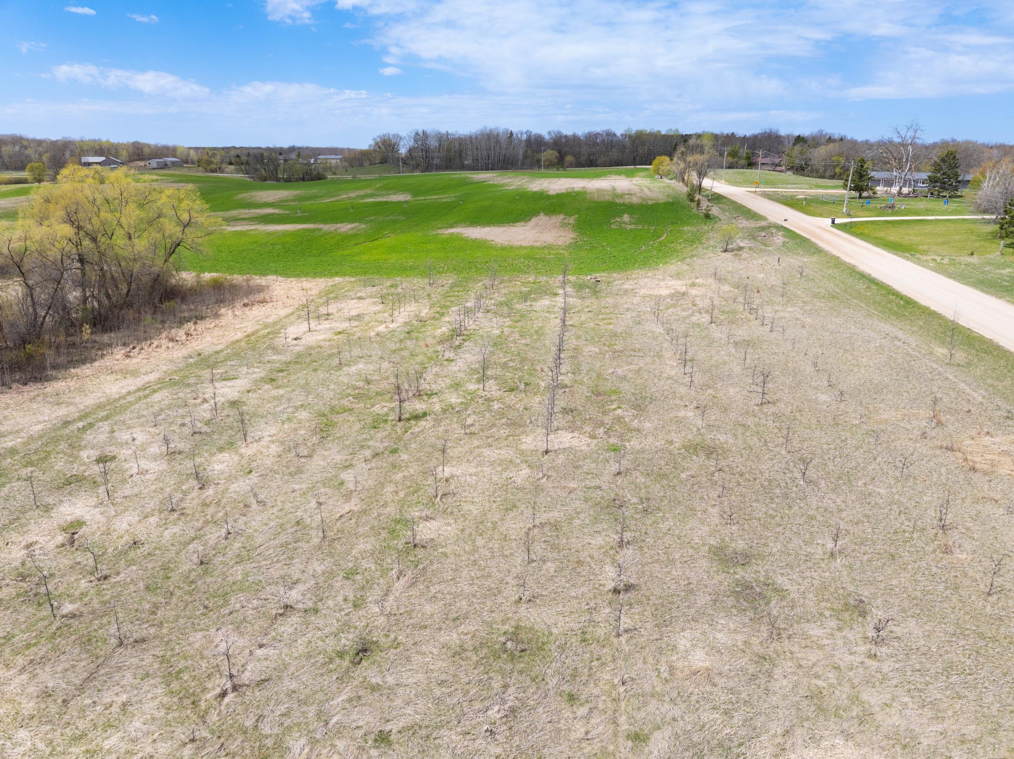 land for sale at Lot 2 Buckskin Road in Carlos, MN (photo 4 of 19)