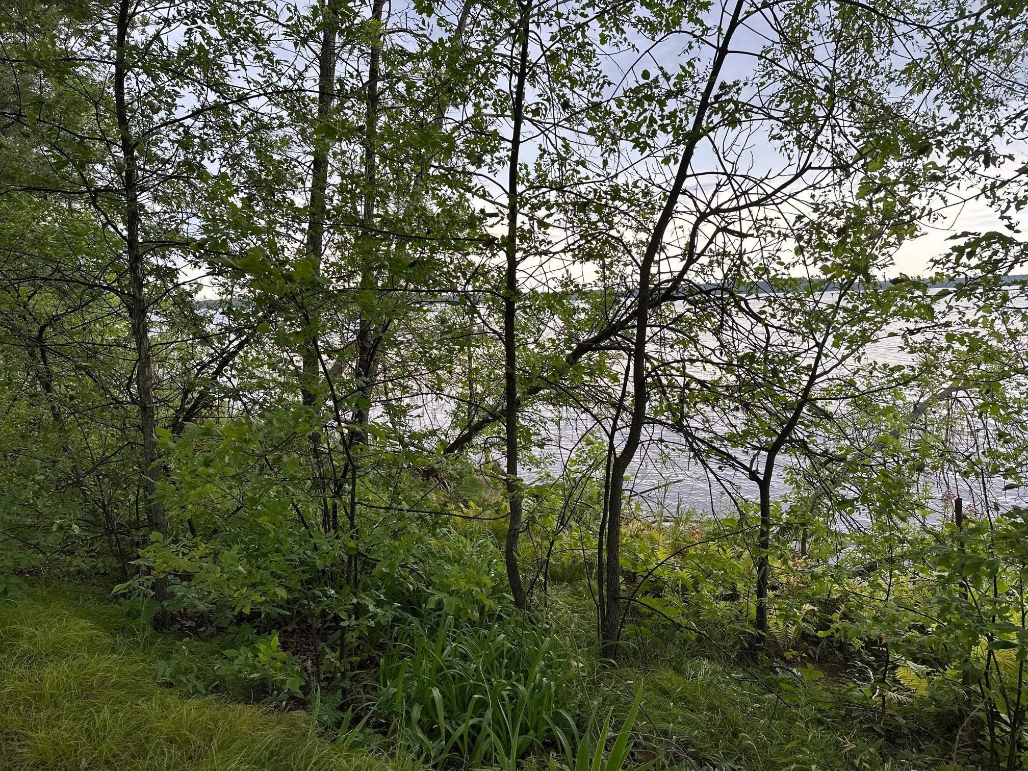 1962 single family home for sale at 51992 209th Place in McGregor, MN — 2 bed, 1 bath (photo 5 of 54)