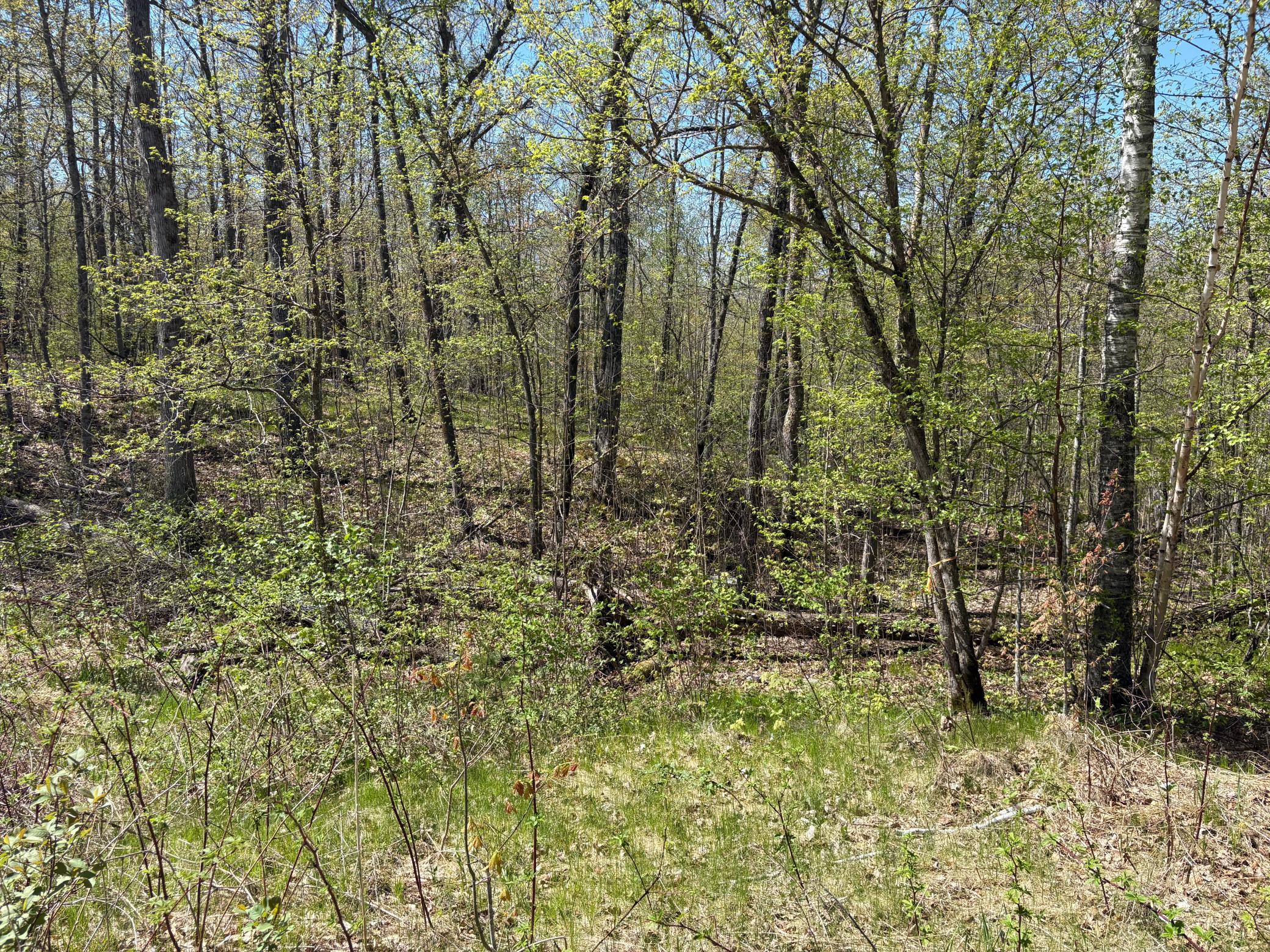 land for sale at 5xxx Banyan Drive in Garrison, MN (photo 5 of 11)