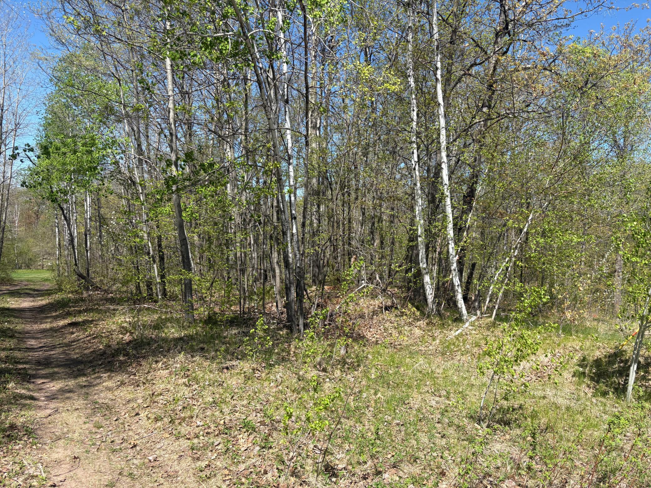 land for sale at 5xxx Banyan Drive in Garrison, MN (photo 8 of 11)