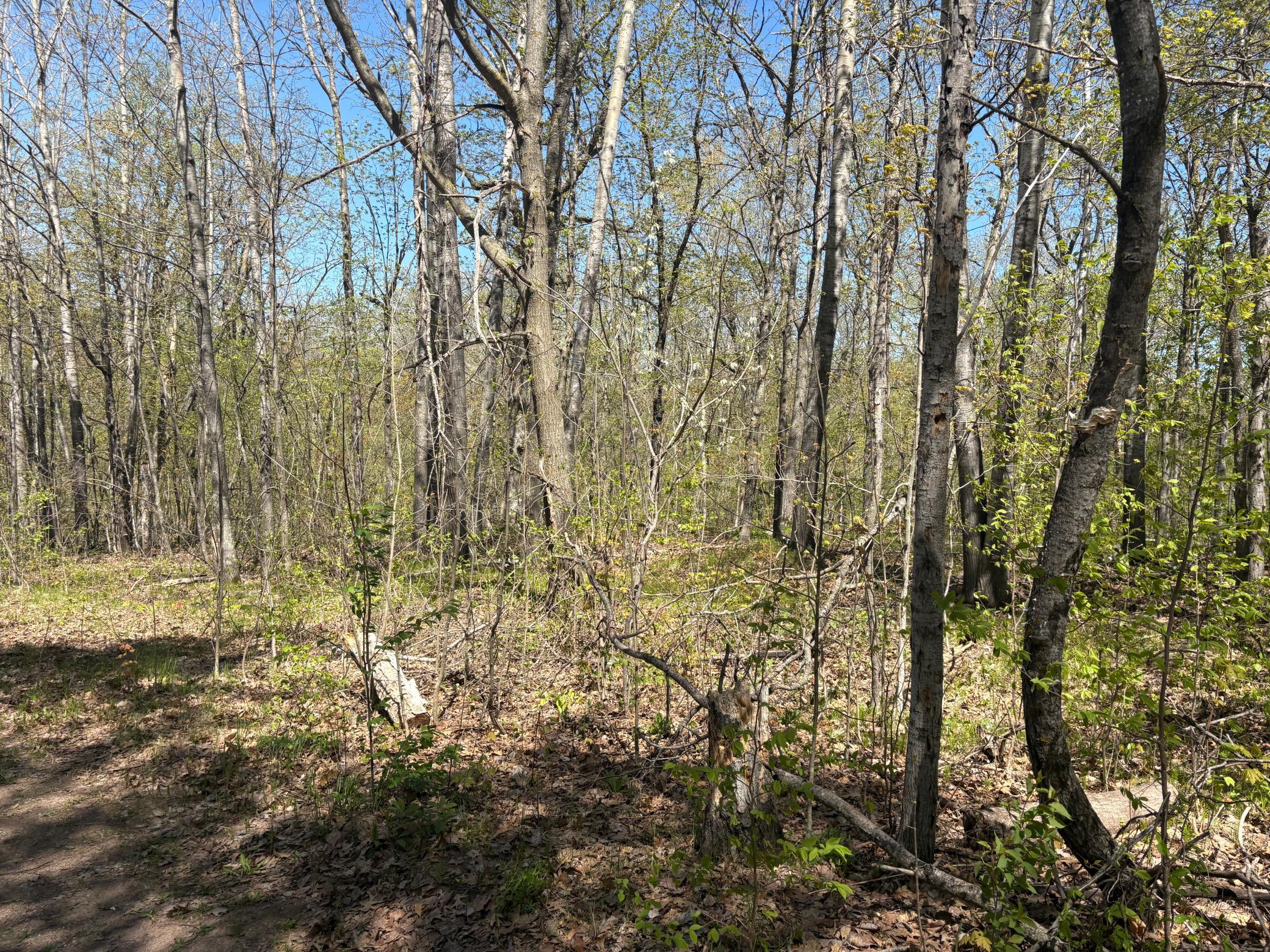 land for sale at 5xxx Banyan Drive in Garrison, MN (photo 9 of 11)