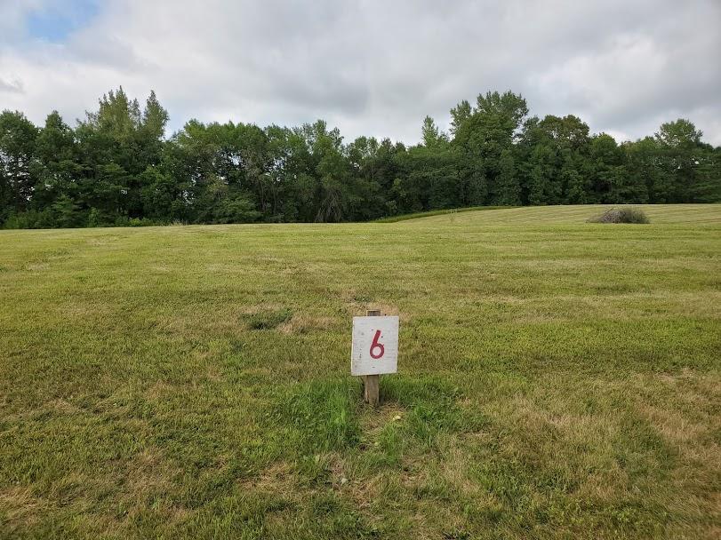 land for sale at Lot 6 Devils Lake Road NW in Brandon, MN (photo 4 of 15)