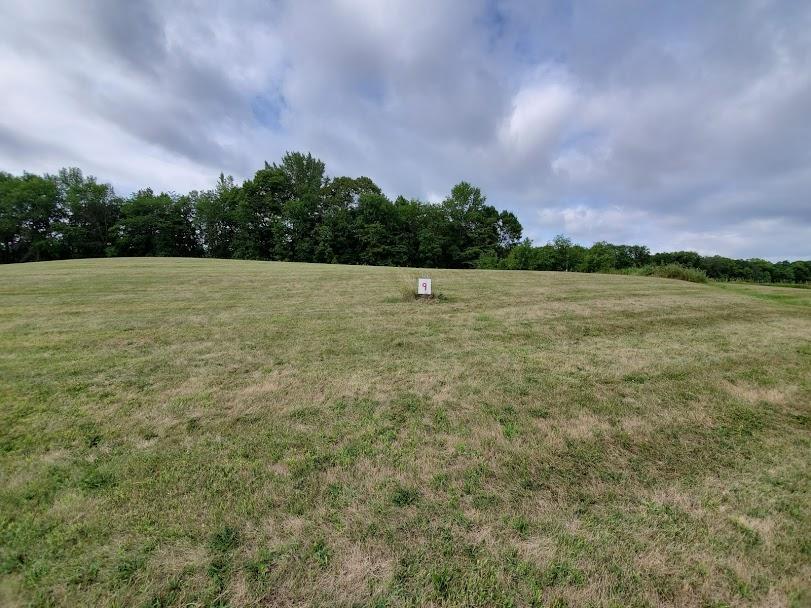 land for sale at Lot 8 Devils Lake Road NW in Brandon, MN (photo 11 of 16)