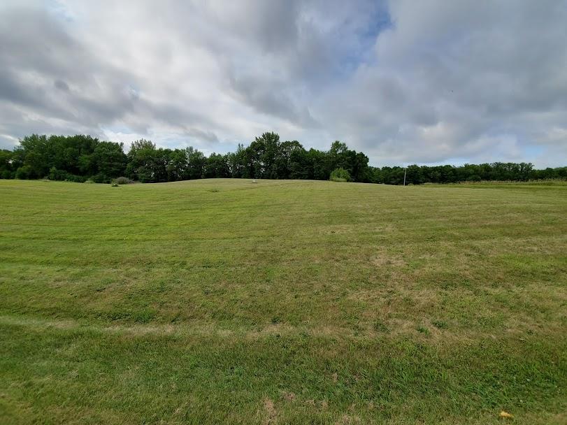 land for sale at Lot 9 Devils Lake Road NW in Brandon, MN (photo 6 of 15)