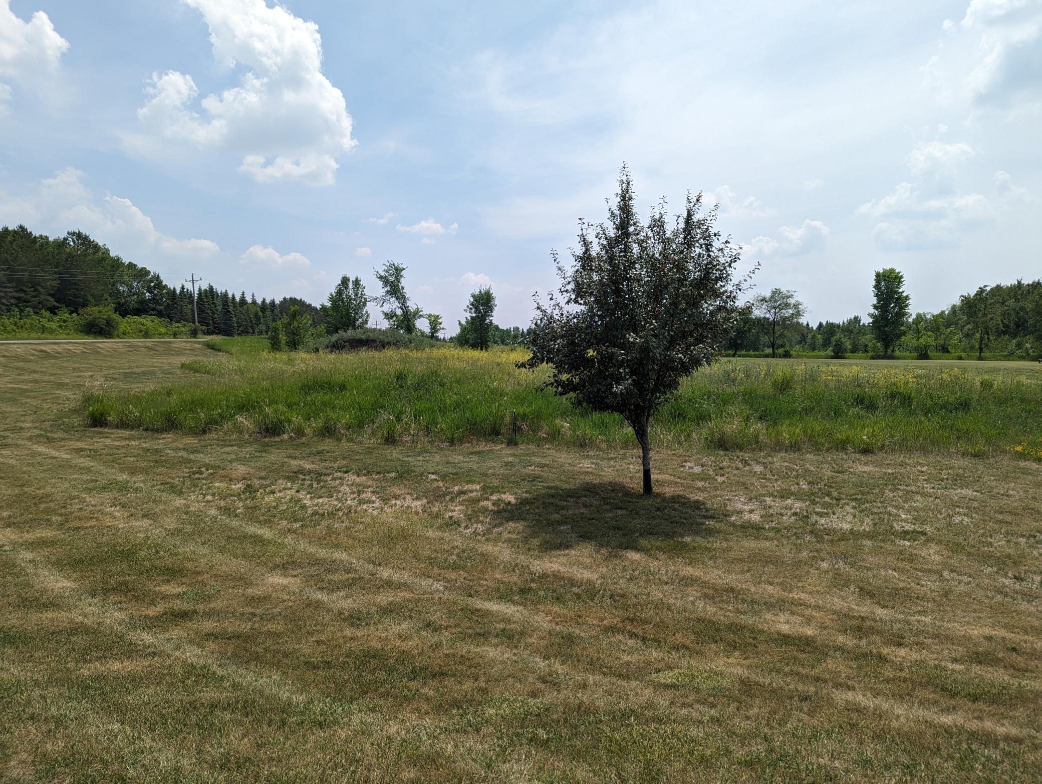 land for sale at Lot 8 Geneva Golf Club Drive NE in Alexandria, MN