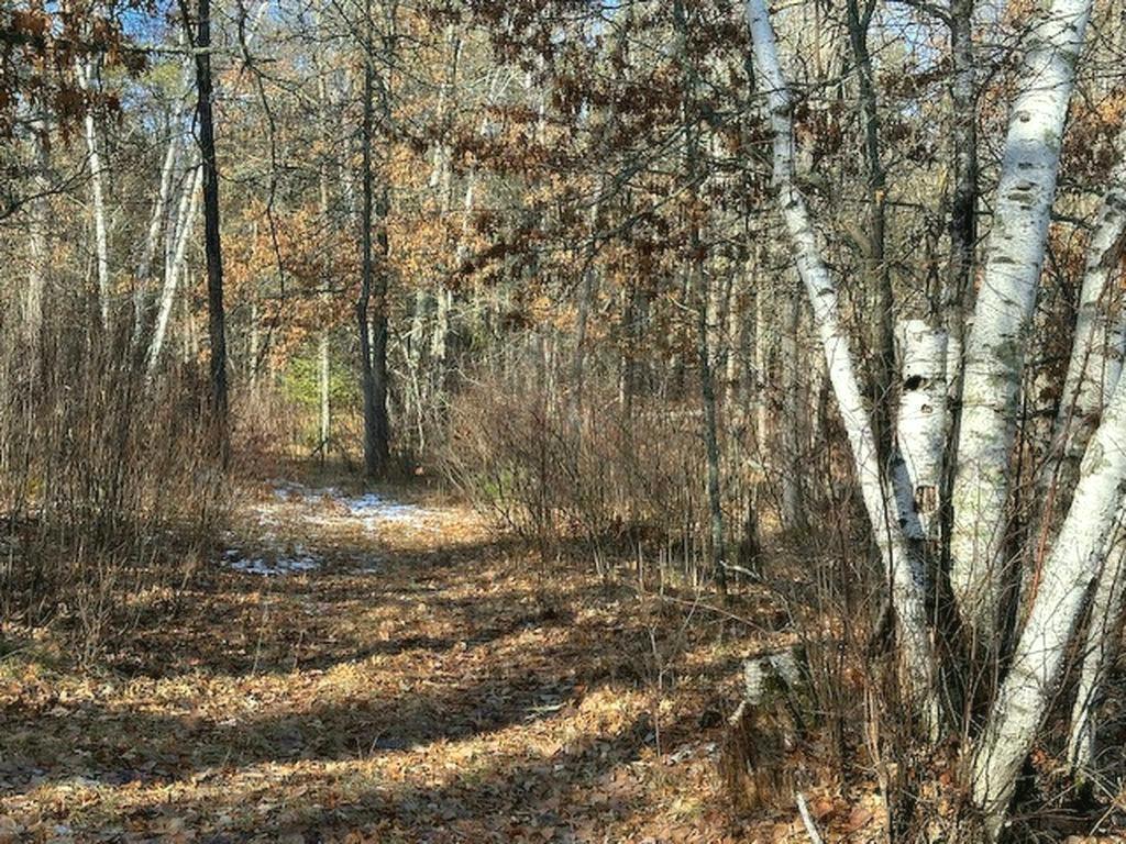 TBD Wildwood Ave, Nevis MN 56467 - Photo 2 of 12