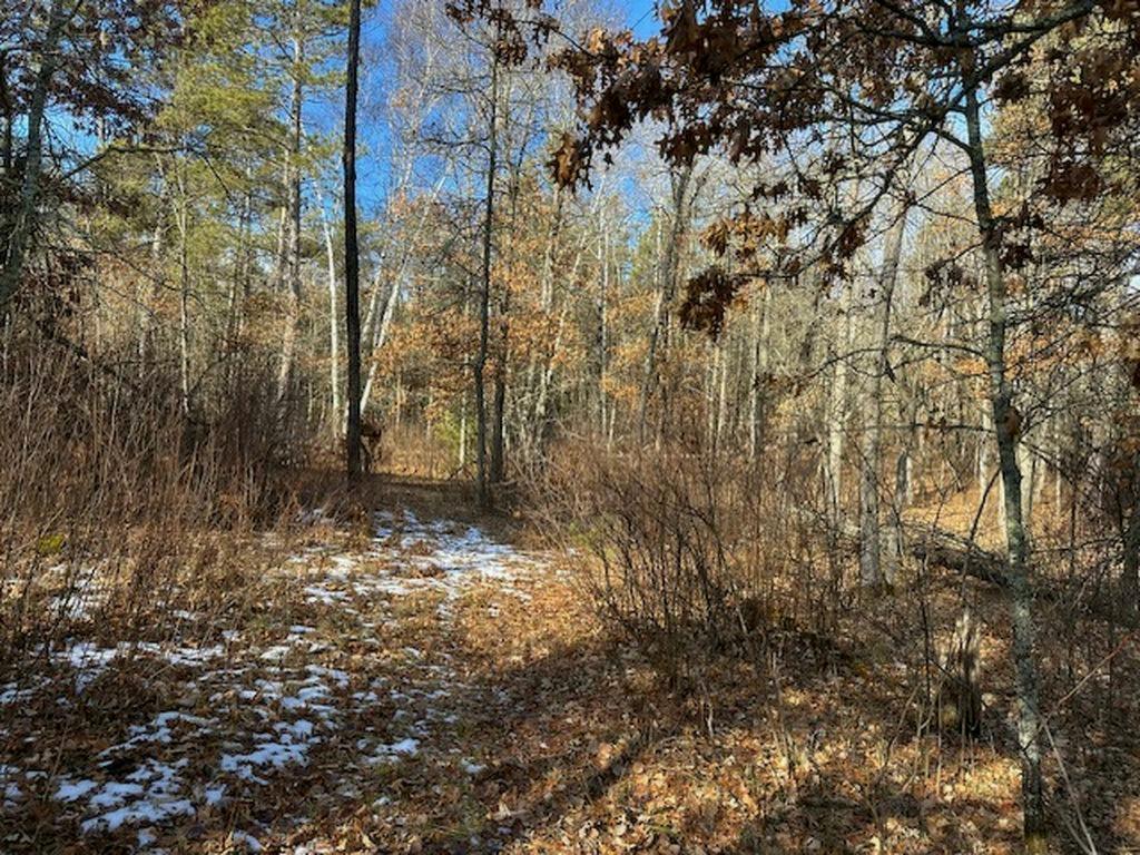 TBD Wildwood Ave, Nevis MN 56467 - Photo 3 of 12