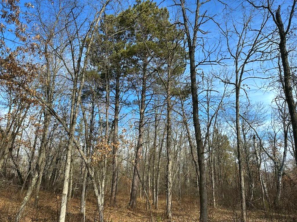 TBD Wildwood Ave, Nevis MN 56467 - Photo 4 of 12
