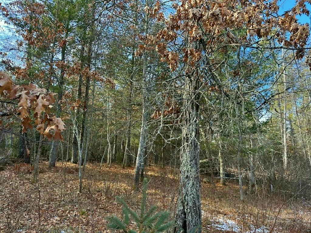 TBD Wildwood Ave, Nevis MN 56467 - Photo 5 of 12
