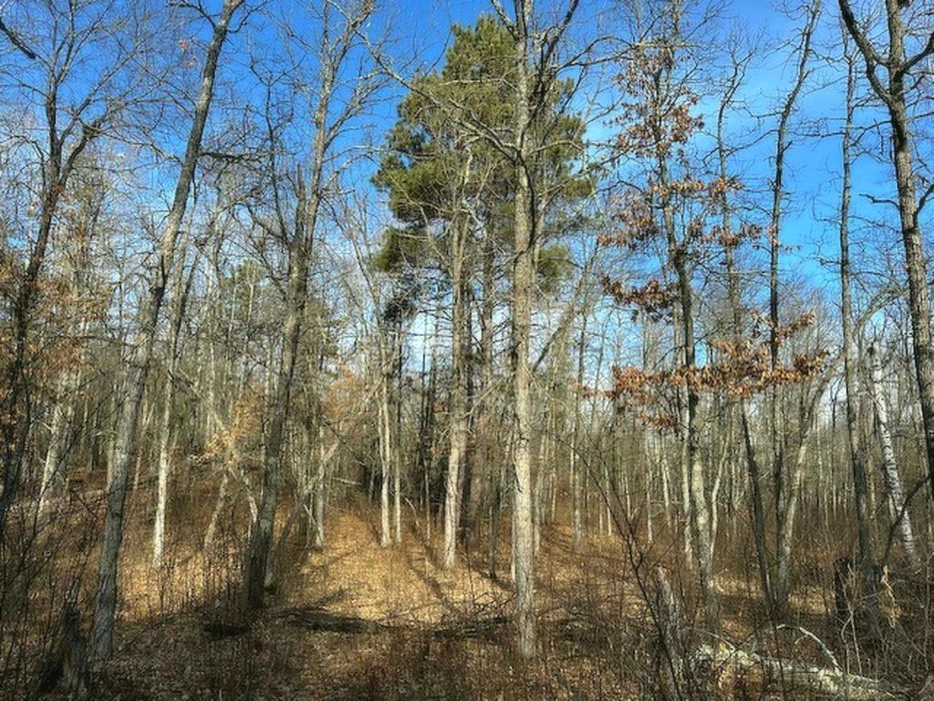 TBD Wildwood Ave, Nevis MN 56467 - Photo 6 of 12
