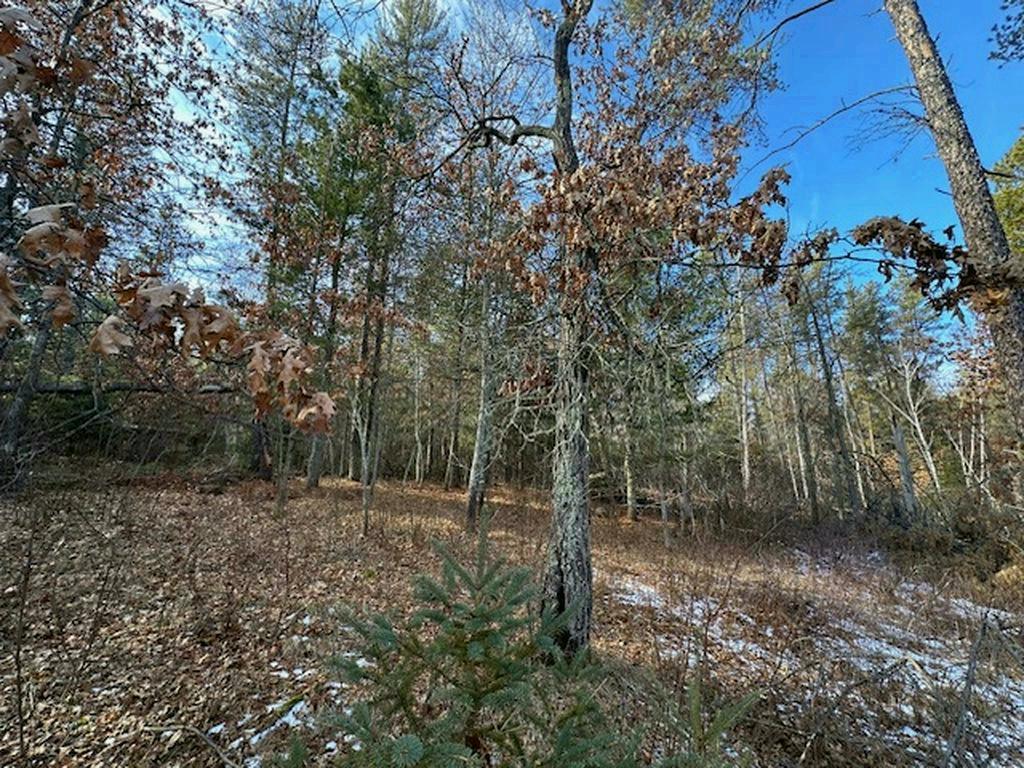 TBD Wildwood Ave, Nevis MN 56467 - Photo 7 of 12