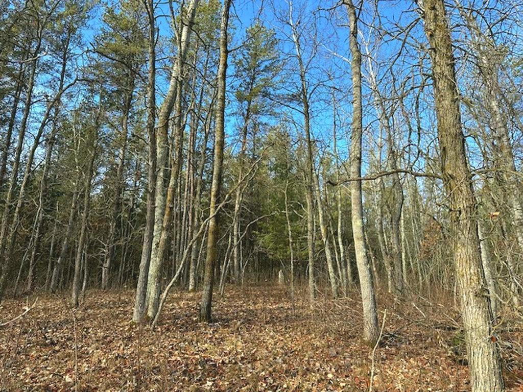 TBD Wildwood Ave, Nevis MN 56467 - Photo 8 of 12