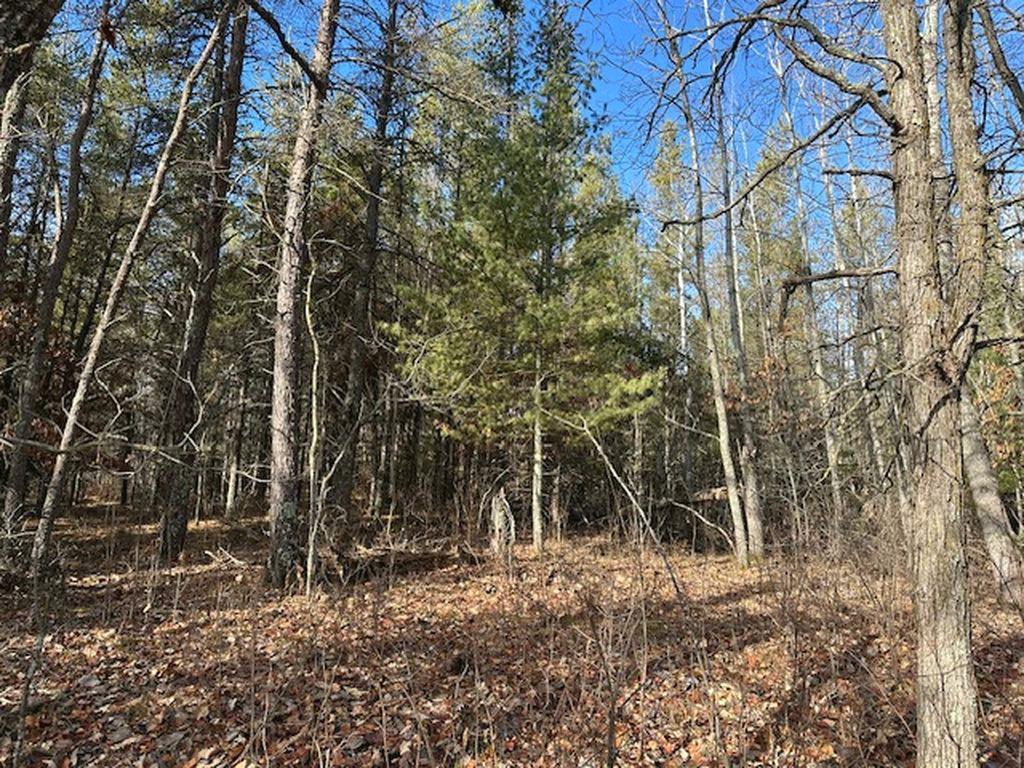 TBD Wildwood Ave, Nevis MN 56467 - Photo 9 of 12