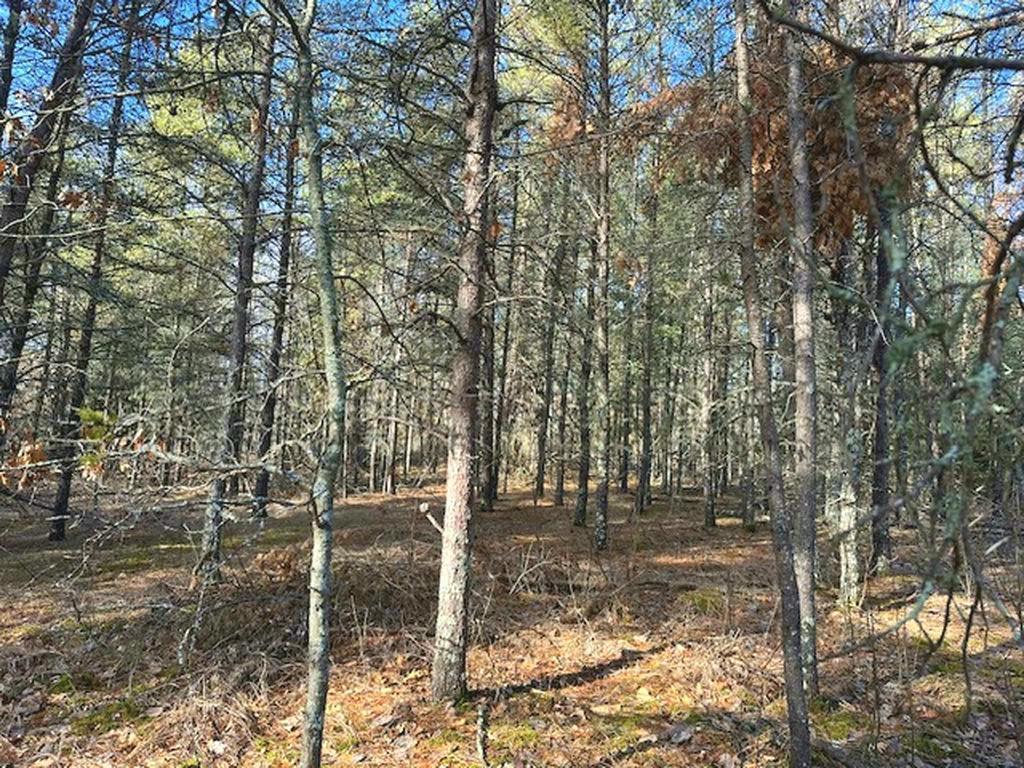 TBD Wildwood Ave, Nevis MN 56467 - Photo 10 of 12