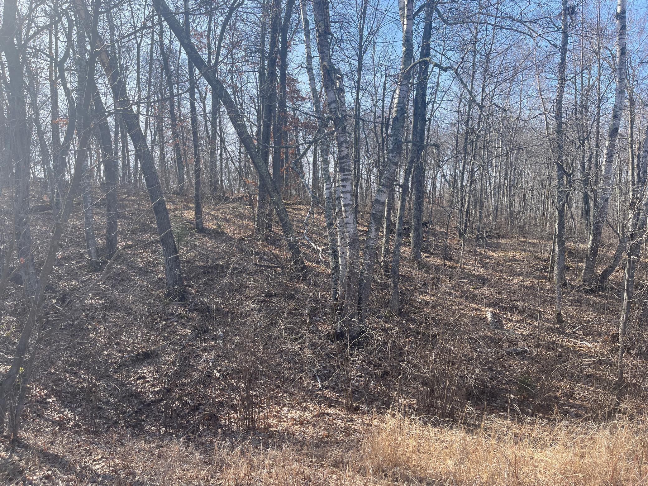 land for sale at Lots 129-131 Ski Chalet Drive in Breezy Point, MN (photo 11 of 17)
