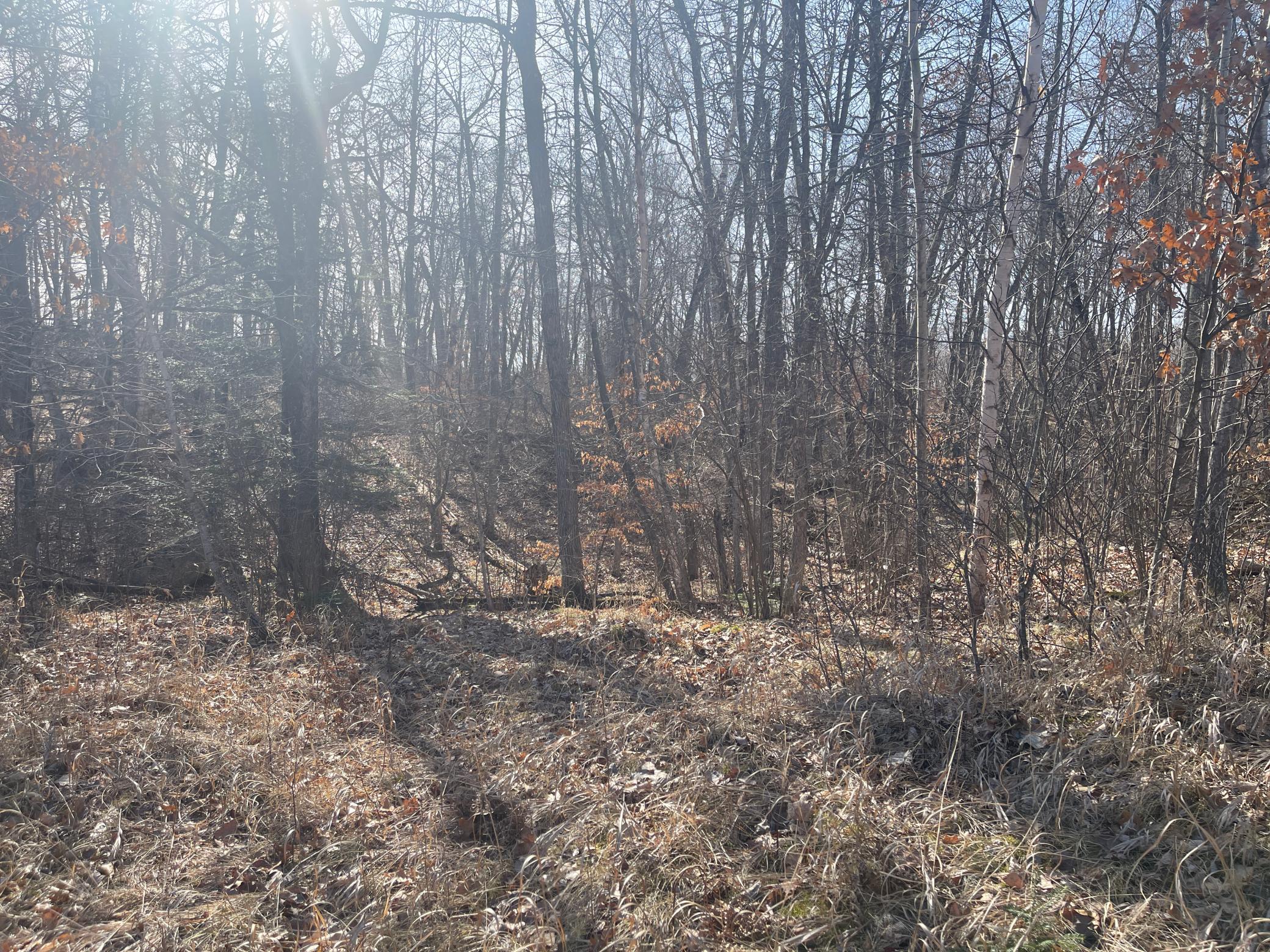 land for sale at Lots 129-131 Ski Chalet Drive in Breezy Point, MN (photo 12 of 17)