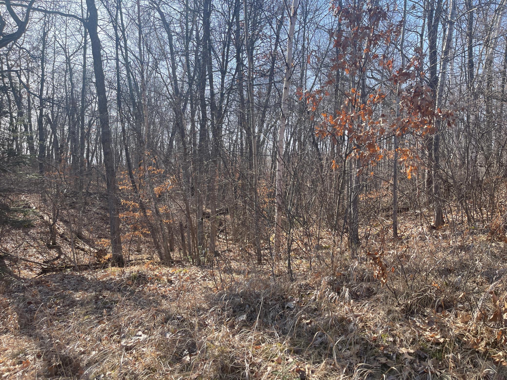 land for sale at Lots 129-131 Ski Chalet Drive in Breezy Point, MN (photo 13 of 17)
