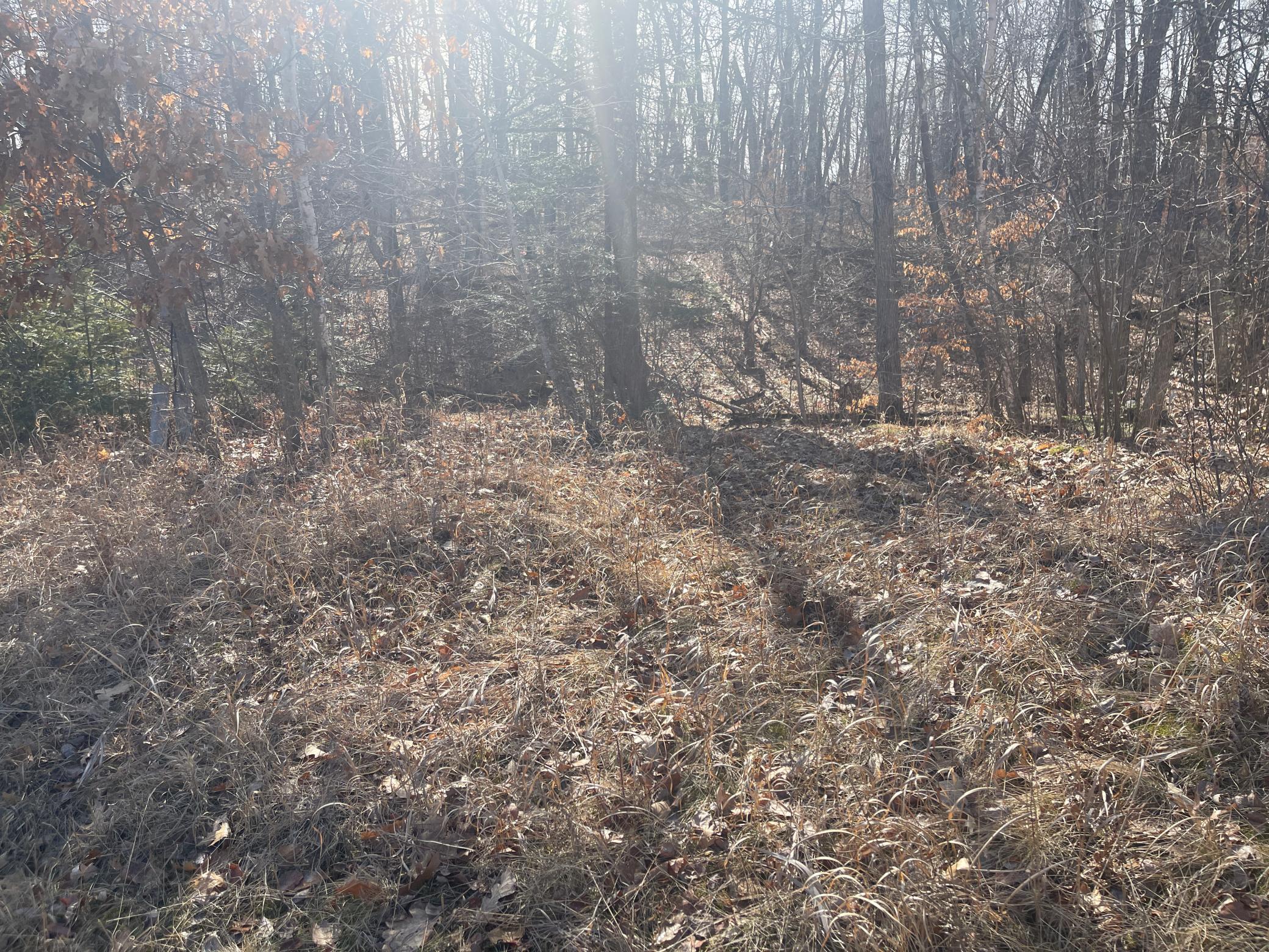 land for sale at Lots 129-131 Ski Chalet Drive in Breezy Point, MN (photo 14 of 17)