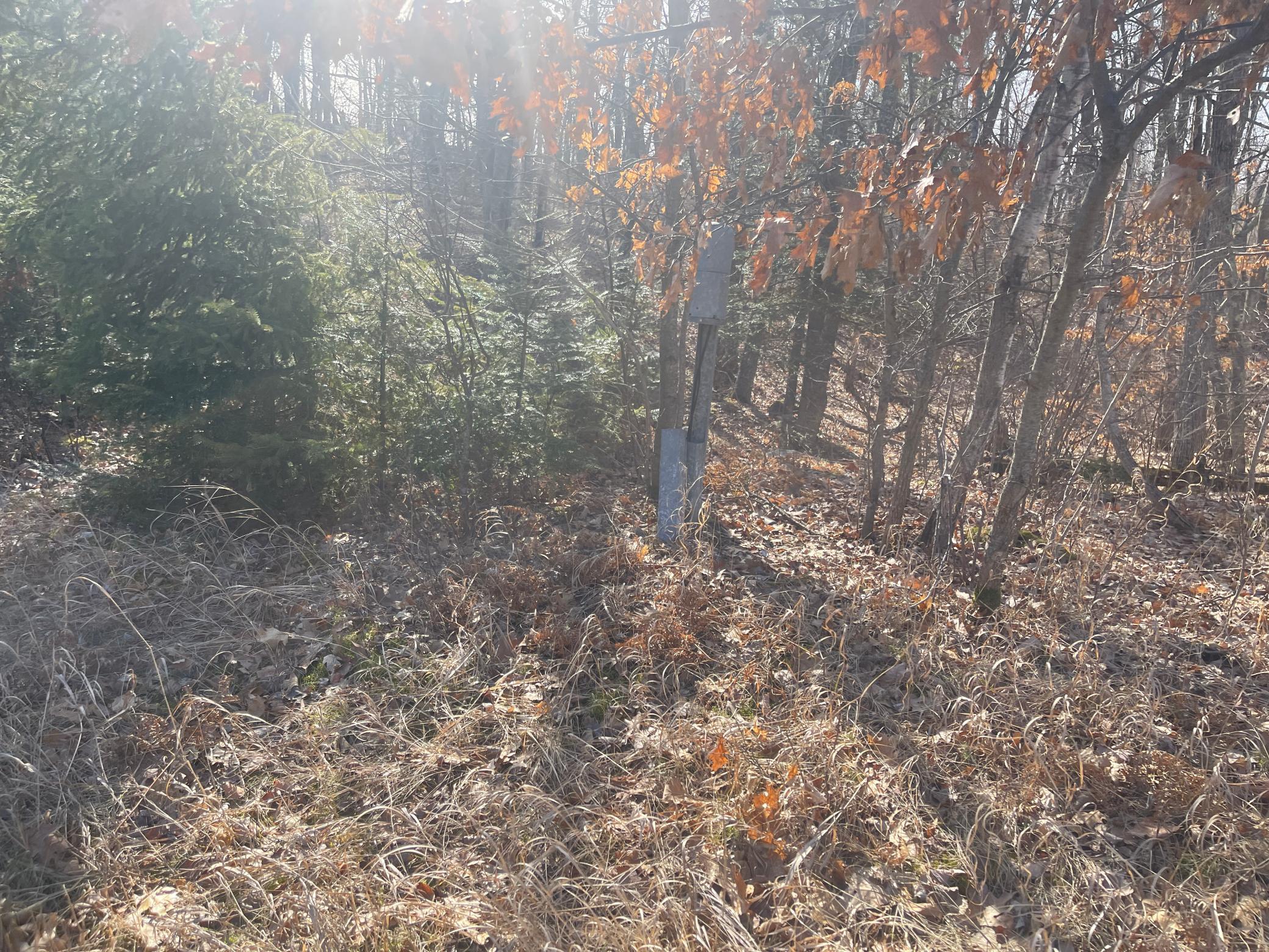 land for sale at Lots 129-131 Ski Chalet Drive in Breezy Point, MN (photo 15 of 17)