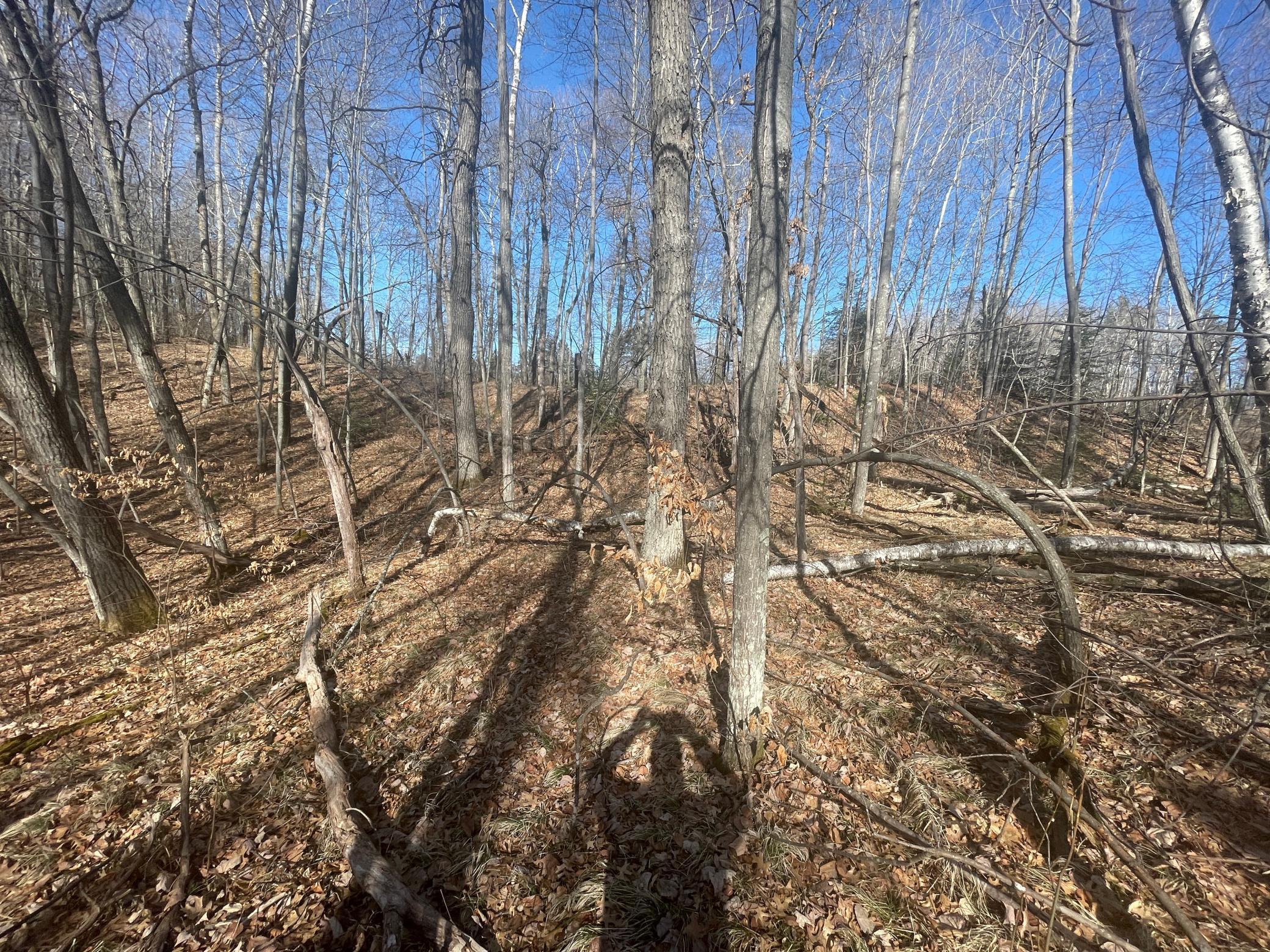 land for sale at Lots 129-131 Ski Chalet Drive in Breezy Point, MN (photo 5 of 17)