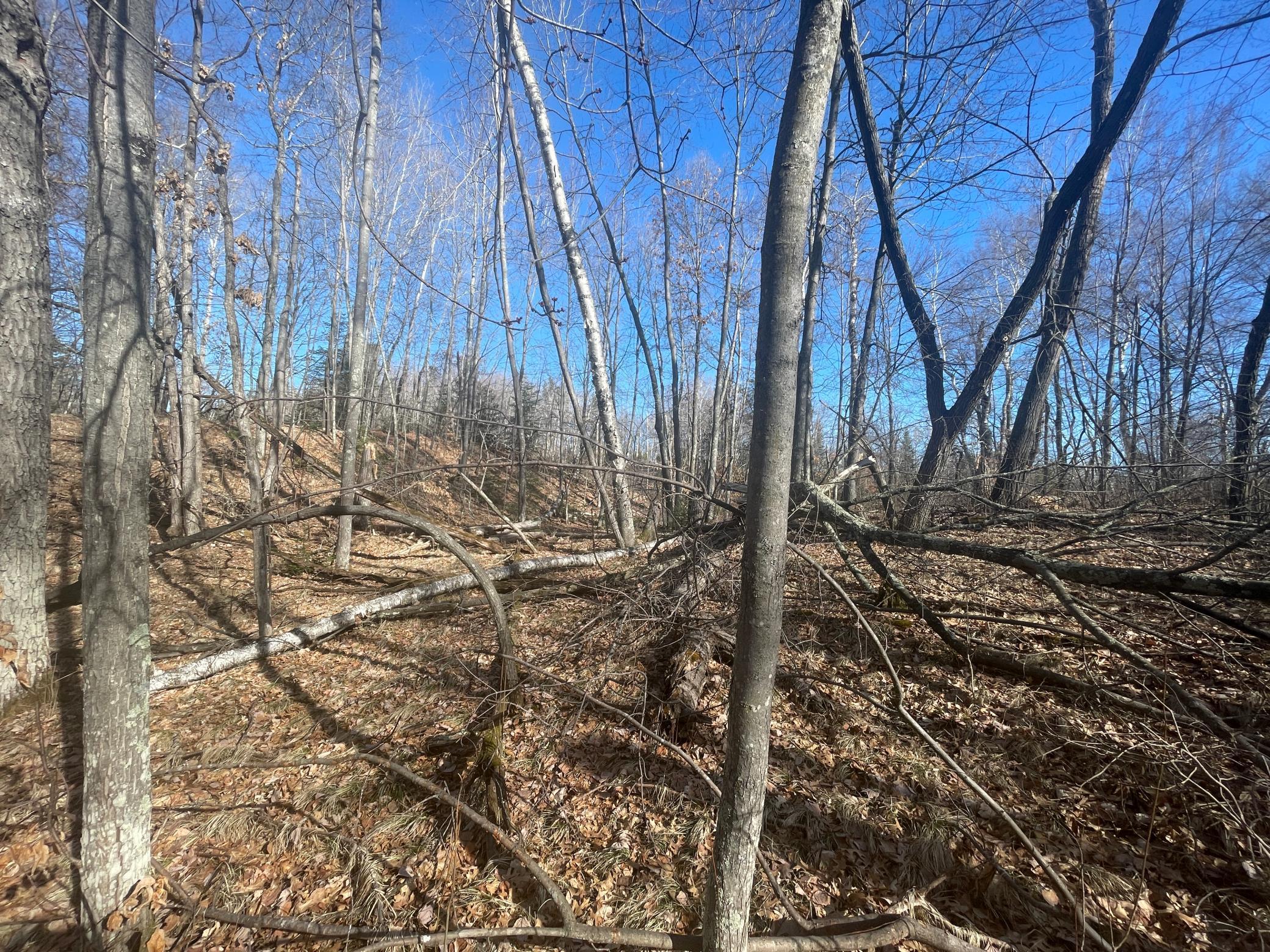 land for sale at Lots 129-131 Ski Chalet Drive in Breezy Point, MN (photo 6 of 17)