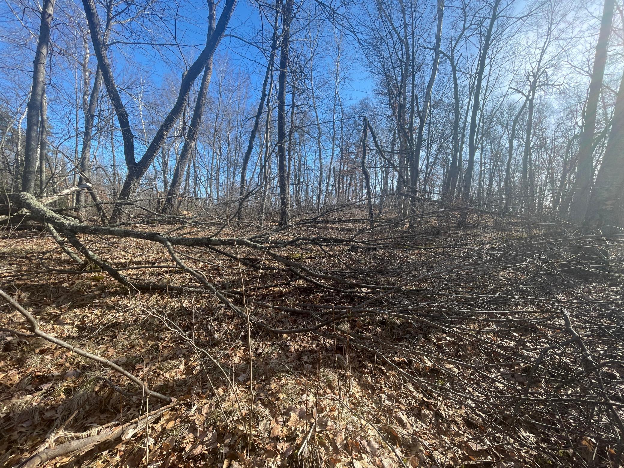 land for sale at Lots 129-131 Ski Chalet Drive in Breezy Point, MN (photo 7 of 17)