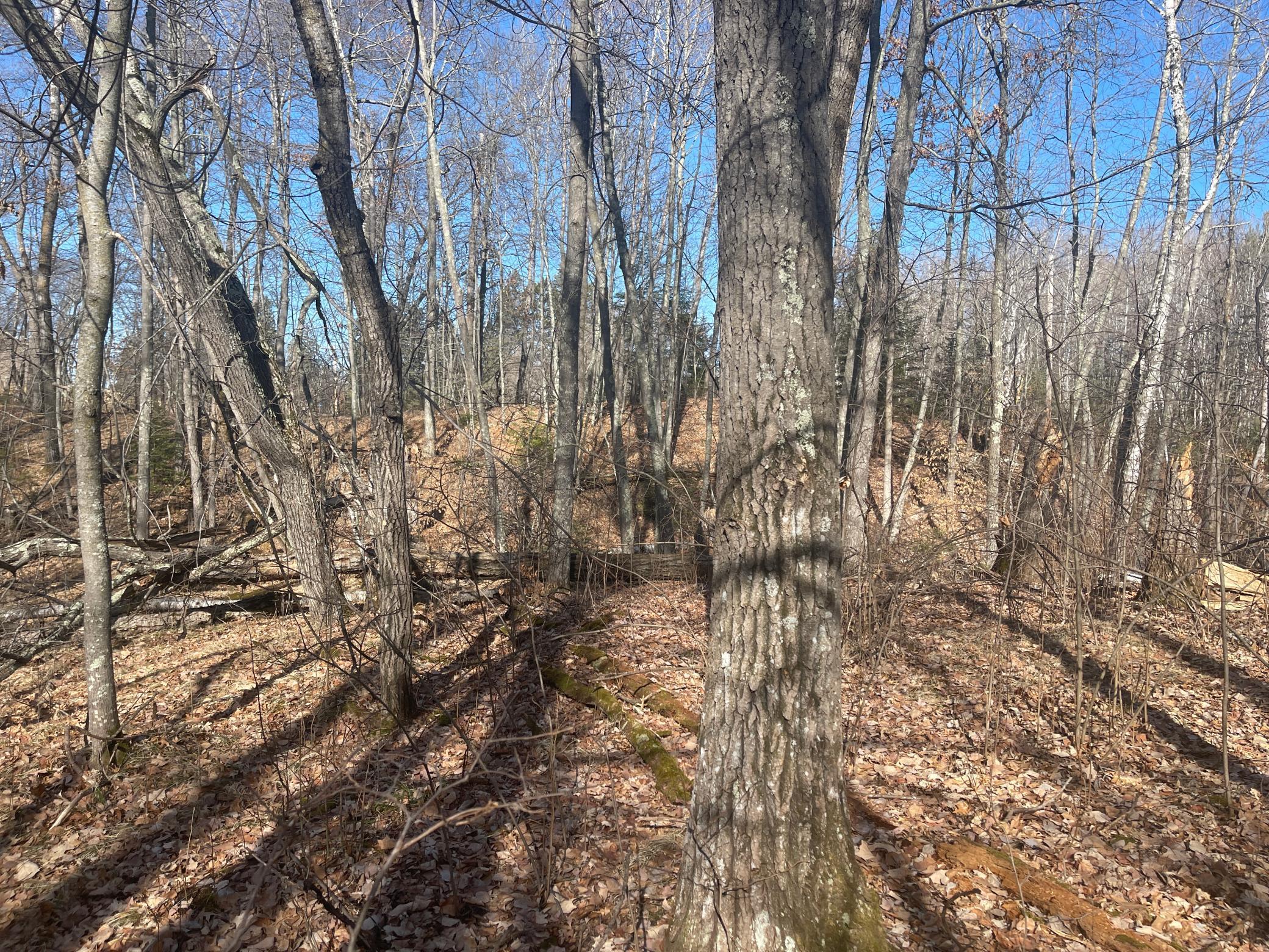 land for sale at Lots 129-131 Ski Chalet Drive in Breezy Point, MN (photo 8 of 17)