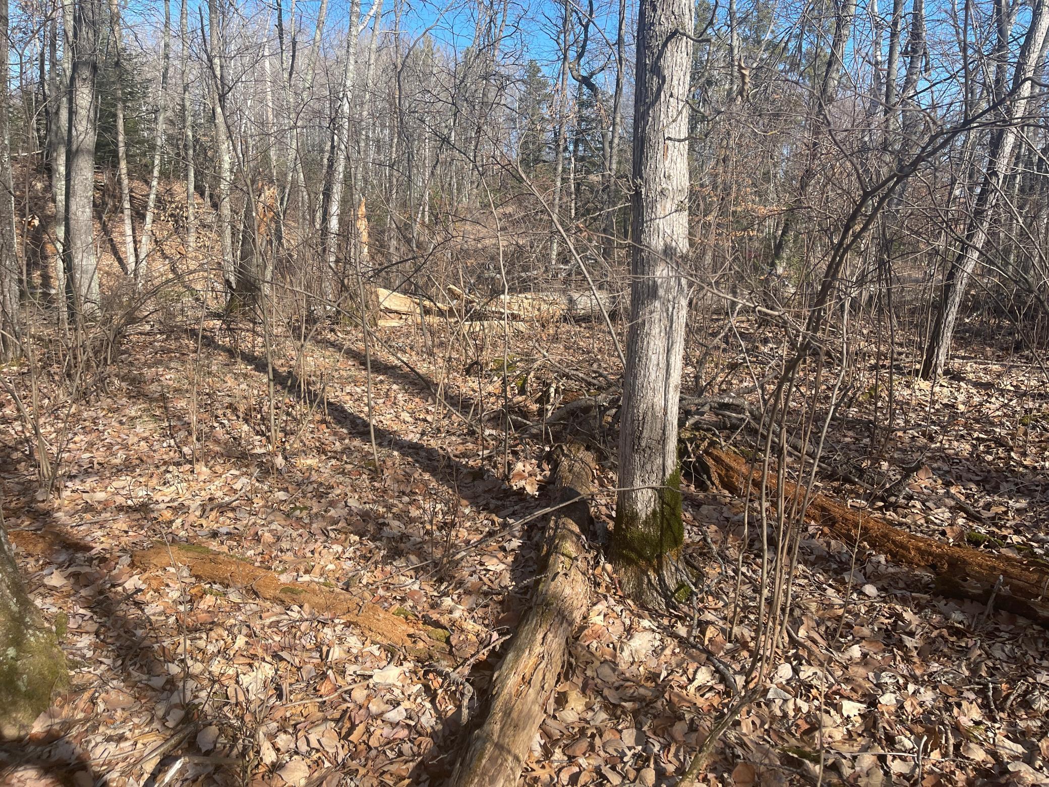land for sale at Lots 129-131 Ski Chalet Drive in Breezy Point, MN (photo 9 of 17)