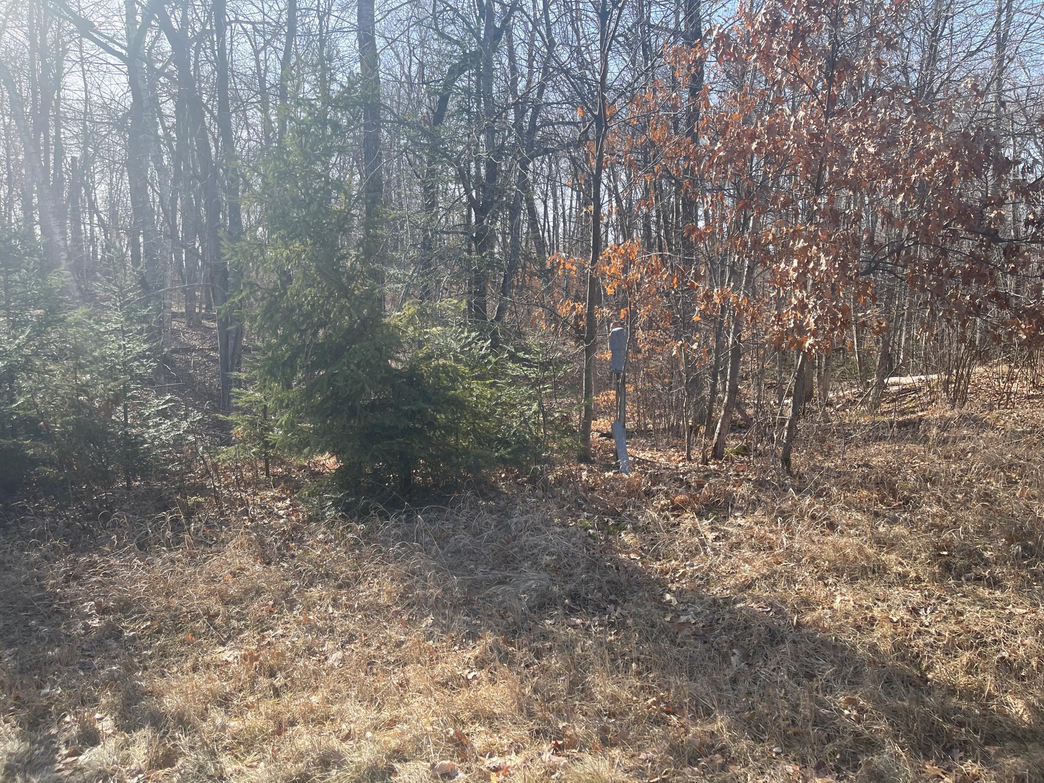 land for sale at Lots 129-131 Ski Chalet Drive in Breezy Point, MN (photo 10 of 17)
