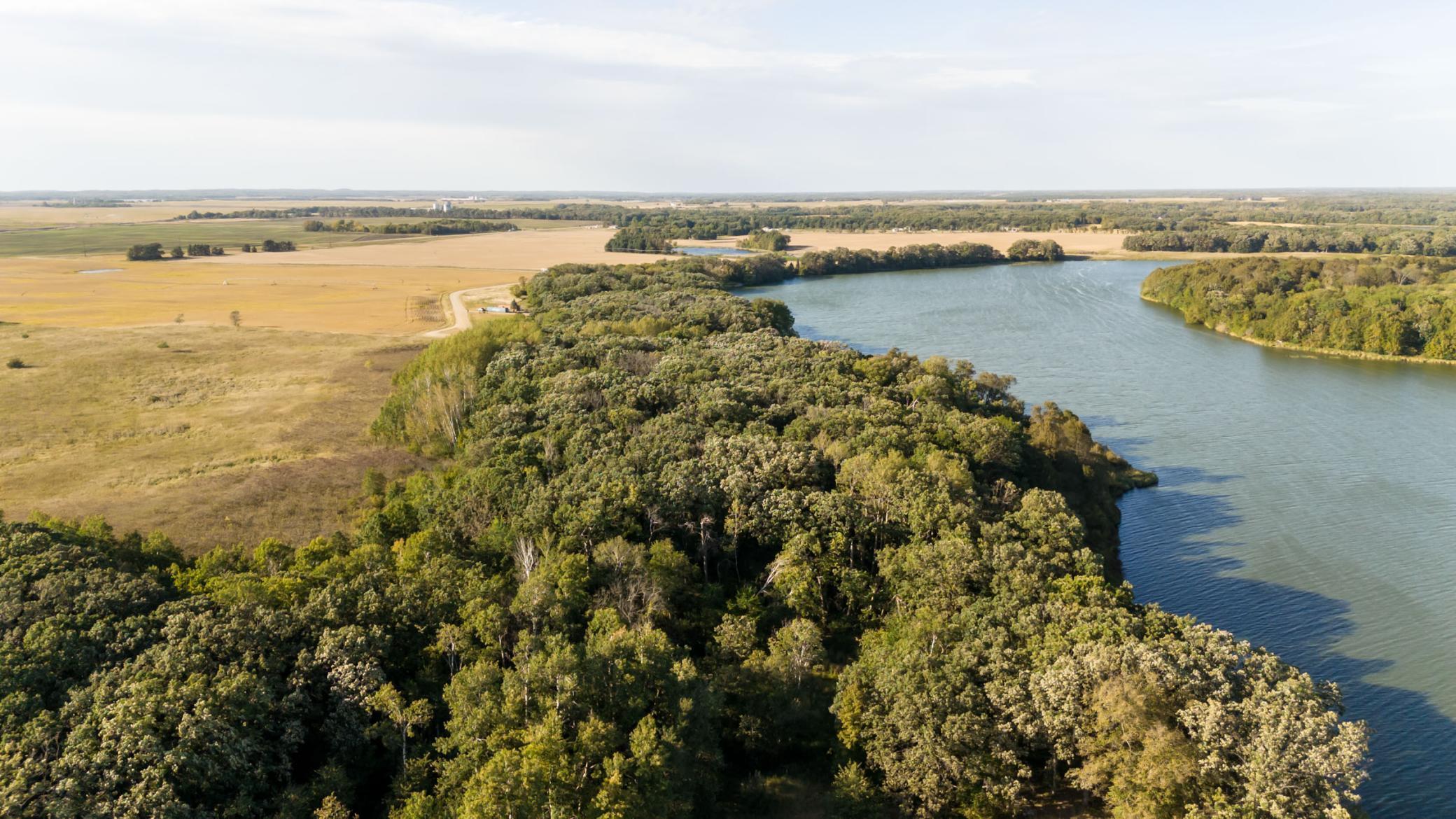TBD Parcel H County 42, Parkers Prairie MN 56361 - Photo 17 of 19
