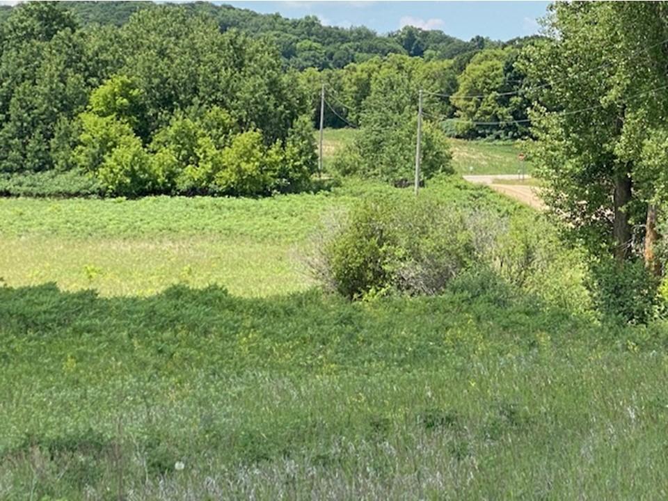land for sale at Lot C 113th Street in Ashby, MN