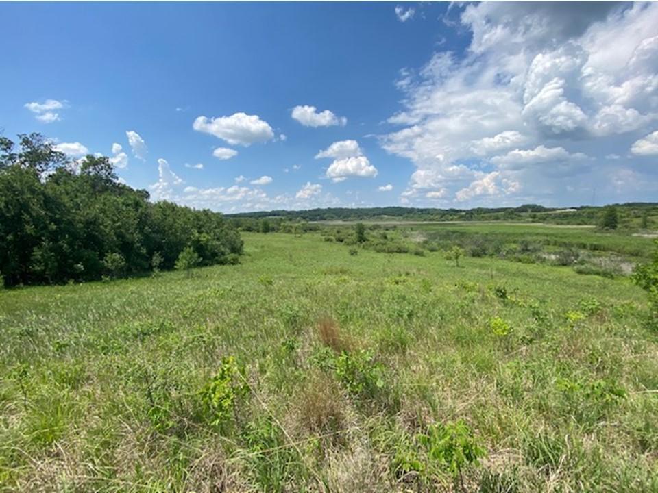 land for sale at Lot C 113th Street in Ashby, MN (photo 2 of 22)
