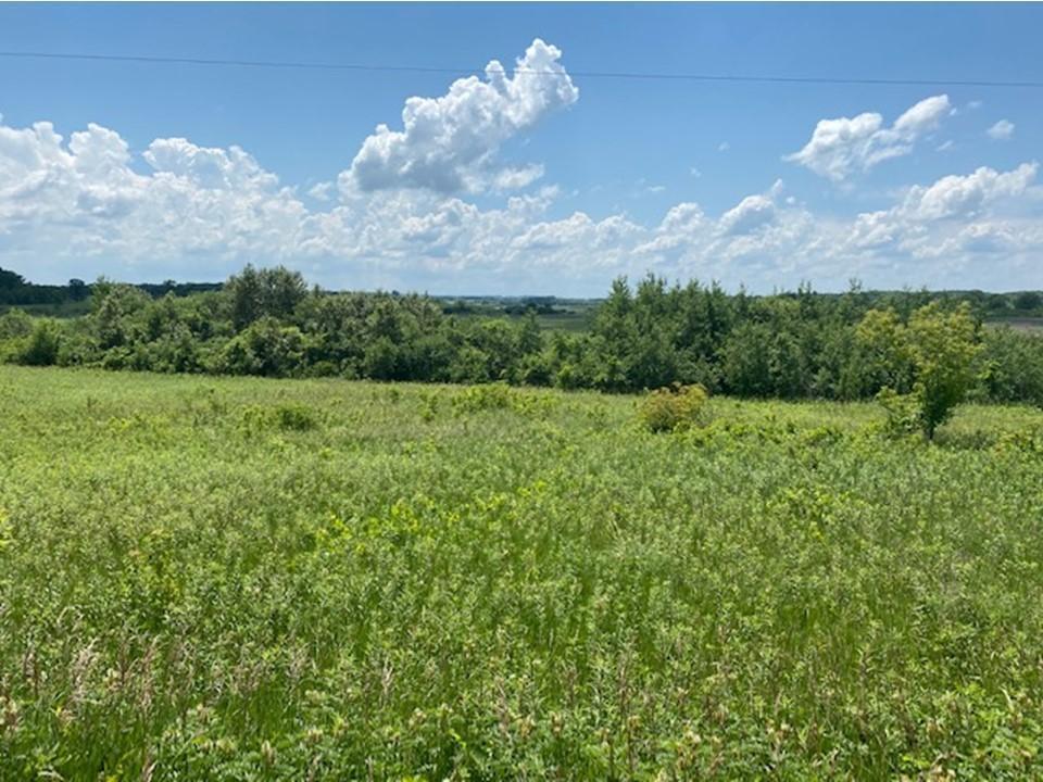 land for sale at Lot C 113th Street in Ashby, MN (photo 11 of 22)