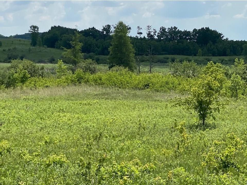 land for sale at Lot C 113th Street in Ashby, MN (photo 12 of 22)