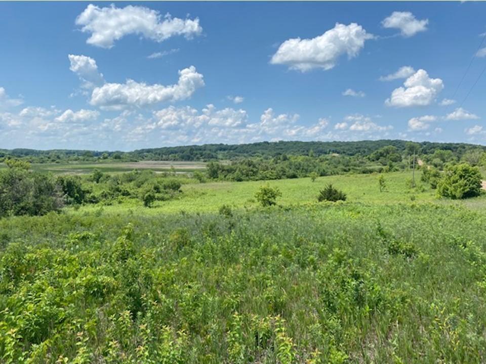 land for sale at Lot C 113th Street in Ashby, MN (photo 13 of 22)