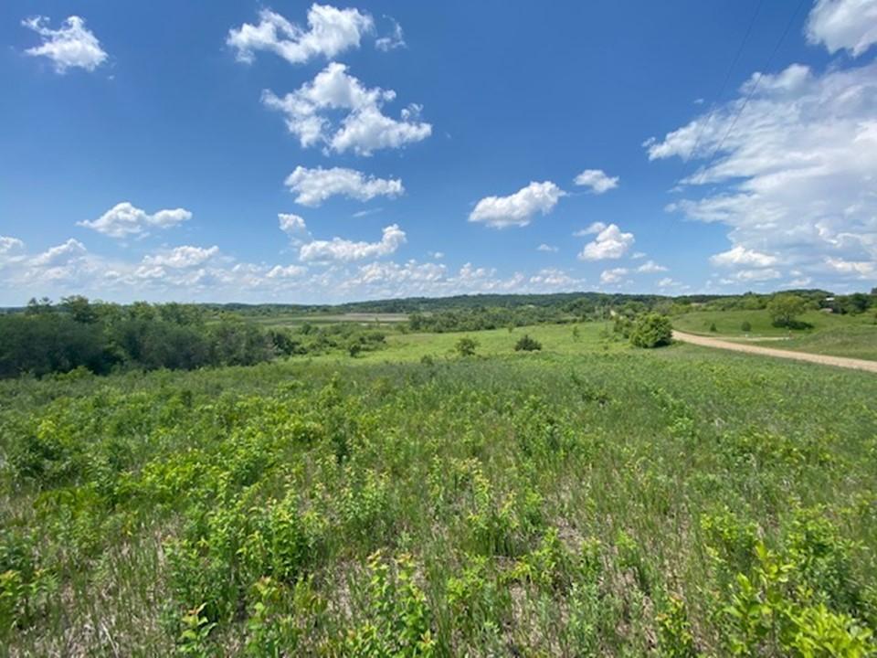land for sale at Lot C 113th Street in Ashby, MN (photo 14 of 22)
