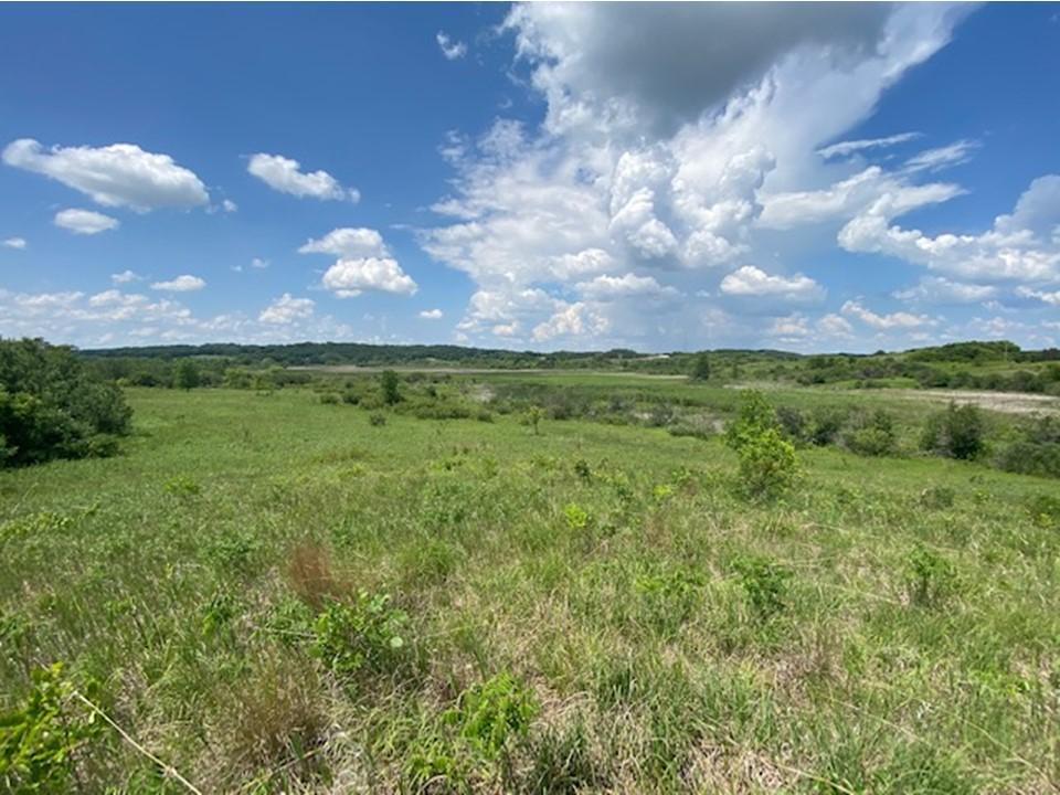 land for sale at Lot C 113th Street in Ashby, MN (photo 3 of 22)