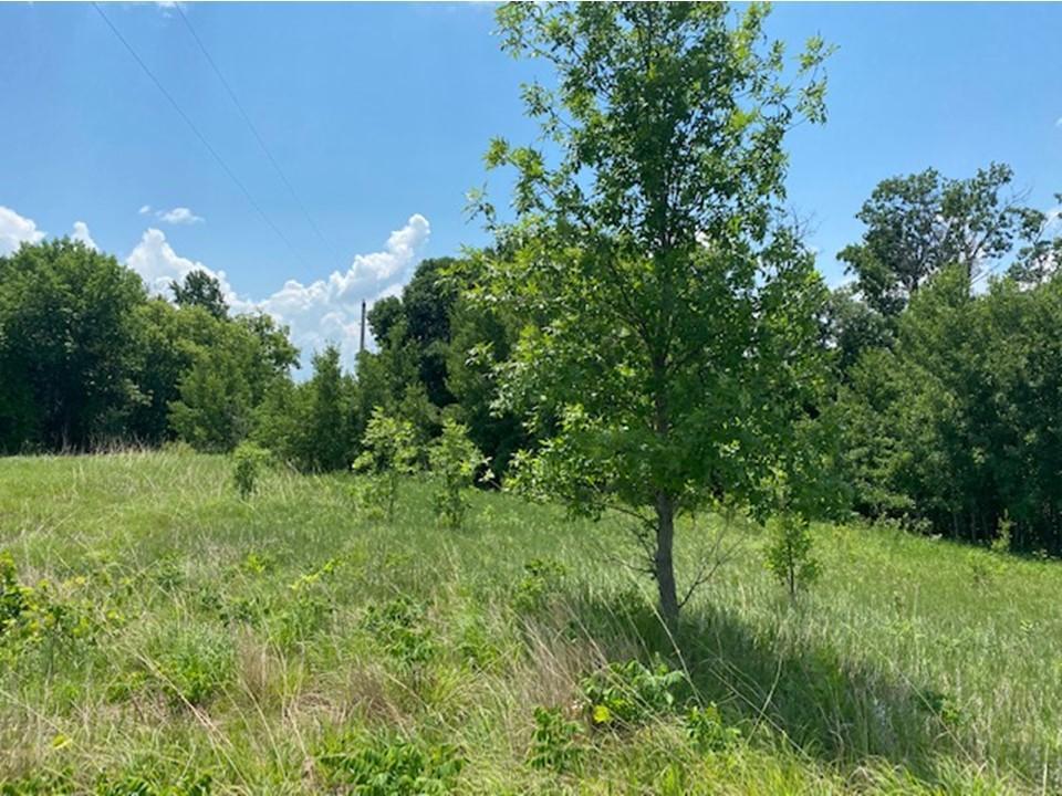 land for sale at Lot C 113th Street in Ashby, MN (photo 4 of 22)