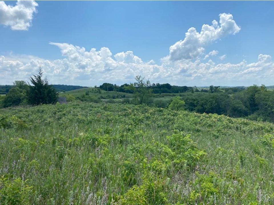 land for sale at Lot C 113th Street in Ashby, MN (photo 5 of 22)