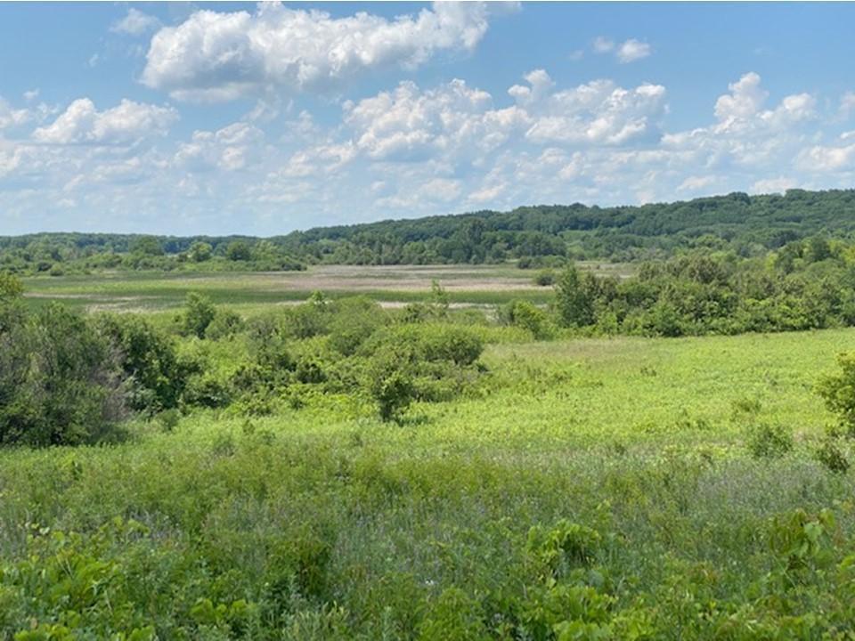 land for sale at Lot C 113th Street in Ashby, MN (photo 6 of 22)