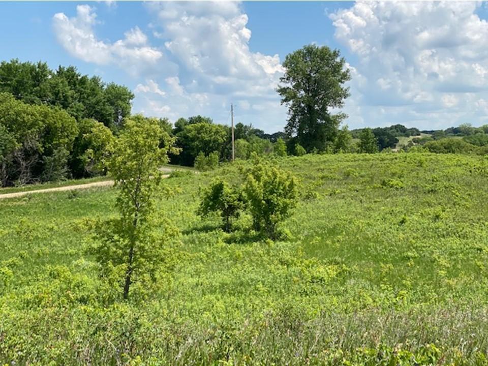 land for sale at Lot C 113th Street in Ashby, MN (photo 7 of 22)