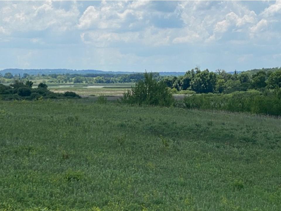 land for sale at Lot C 113th Street in Ashby, MN (photo 9 of 22)