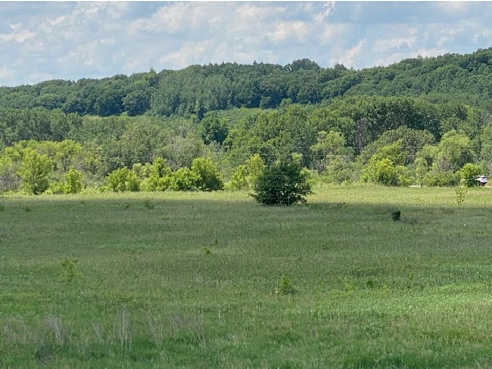 land for sale at Lot C 113th Street in Ashby, MN (photo 10 of 22)