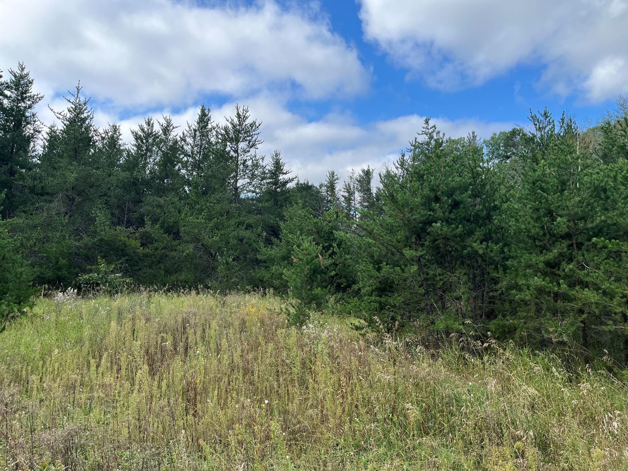 land for sale at 1707 Hassman Hill Tract D Road SW in Pine River, MN