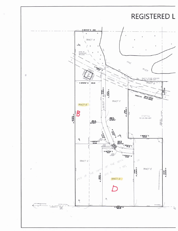 land for sale at 1707 Hassman Hill Tract D Road SW in Pine River, MN (photo 3 of 4)