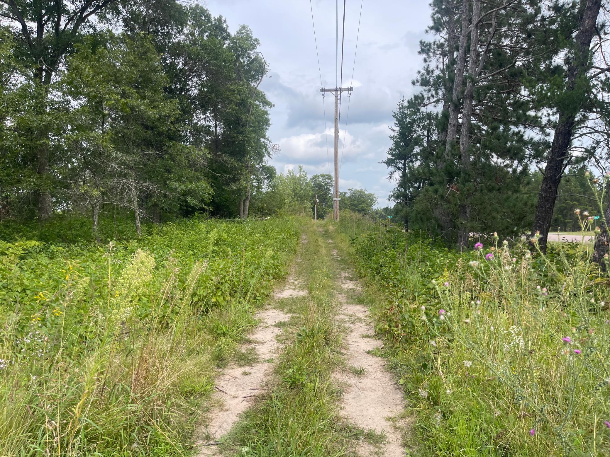 land for sale at Lot 4 Patriot Ave in Pequot Lakes, MN (photo 11 of 35)