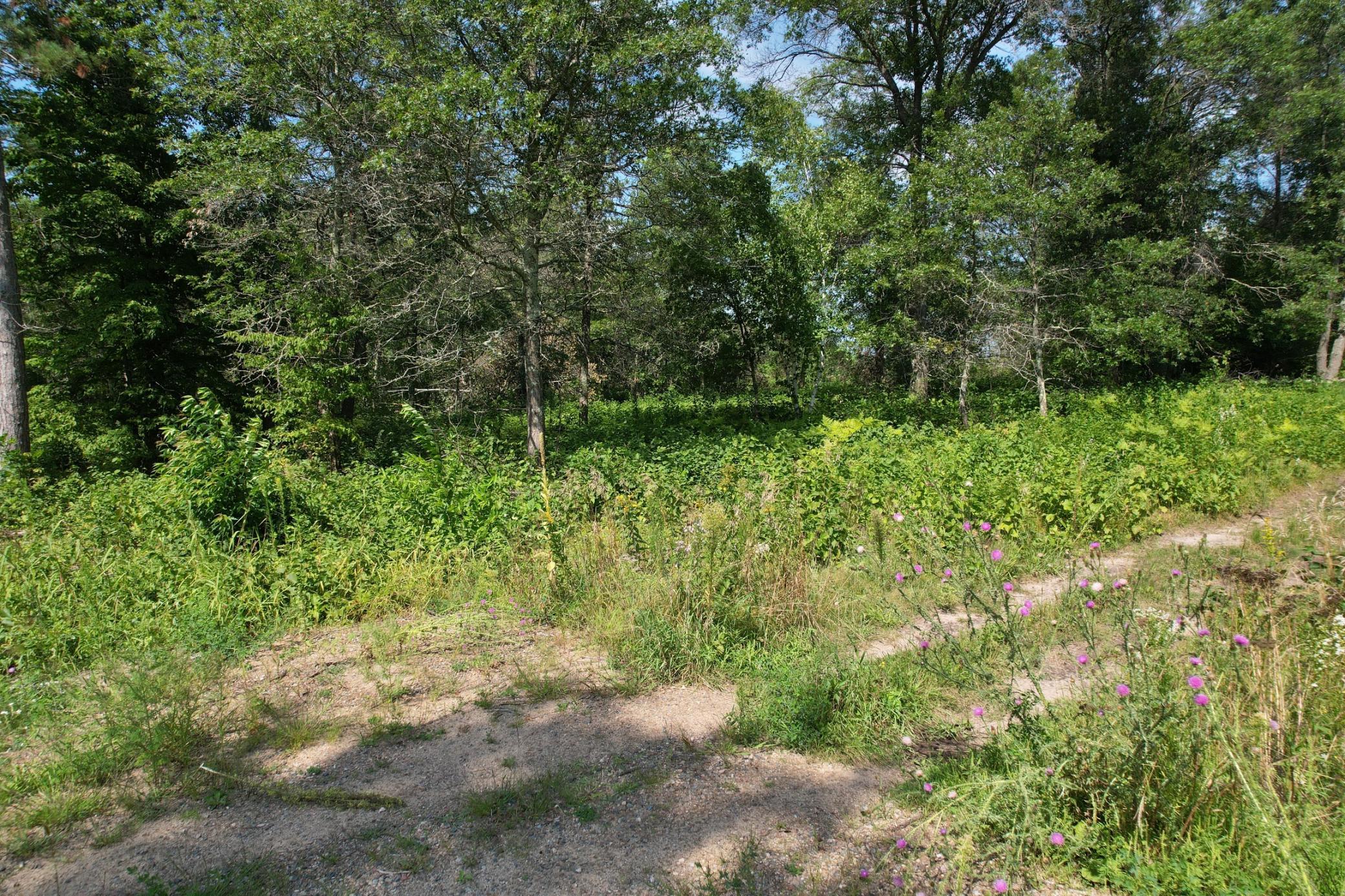 land for sale at Lot 4 Patriot Ave in Pequot Lakes, MN (photo 30 of 35)