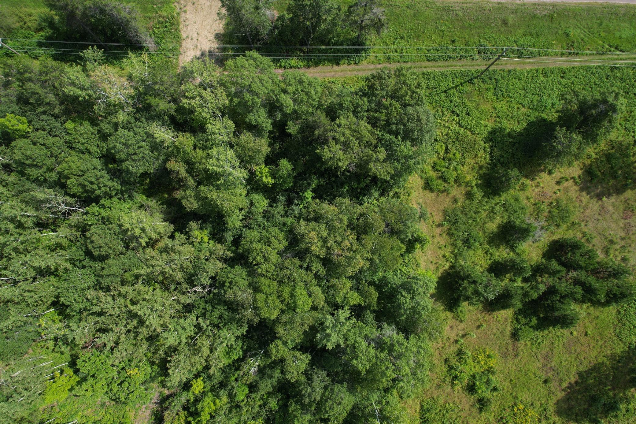 land for sale at Lot 4 Patriot Ave in Pequot Lakes, MN (photo 35 of 35)