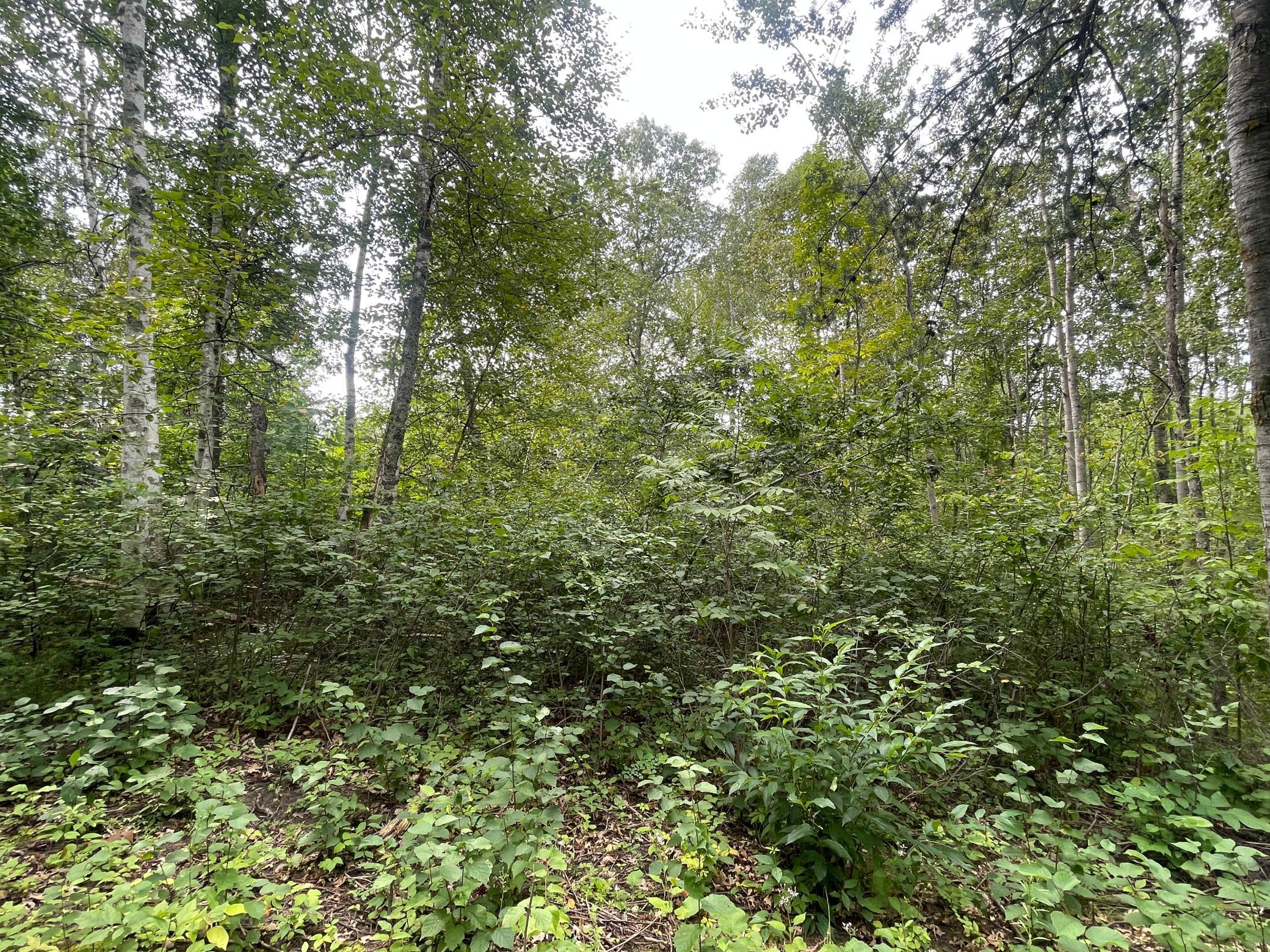 land for sale at Lot 4 Patriot Ave in Pequot Lakes, MN (photo 7 of 35)