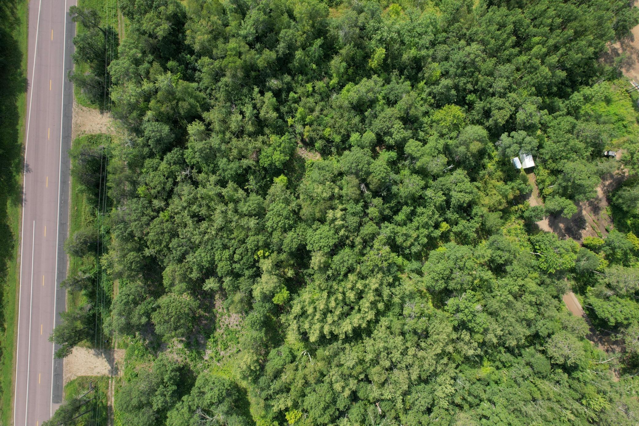 land for sale at Lot 2 Patriot Ave in Pequot Lakes, MN (photo 22 of 41)